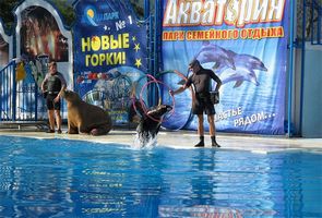 ялта акватория театр морских животных
